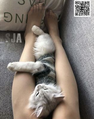 天天激情_蓝光动漫在线观看